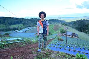 BIB: 
                            <button type="button" onclick="openModal(13393495)" class="btn btn-primary btn-sm float-right btn-popup" data-toggle="modal" data-target=".modal-high-quality">
                        <i class="fas fa-shopping-cart"></i> Add to Cart
                    </button>
                                            <button type="button" onclick="isThisMe(13393495, true)" class="btn btn-success btn-sm float-right btn-popup btn-isme hidden" data-toggle="tooltip" data-placement="bottom" title="นี่คือรูปของคุณใช่ไหม คลิกที่นี่เพื่อเอาเข้าอัลบั้ม">
                        <i class="fas fa-plus"></i> Add to album
                    </button>
                    <button type="button" onclick="isThisMe(13393495, false)" class="btn btn-warning btn-sm float-right btn-popup btn-isnotme hidden">
                        <i class="fas fa-ban"></i> Remove from album
                    </button>